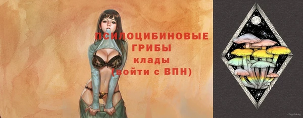 прущая мука Арсеньев