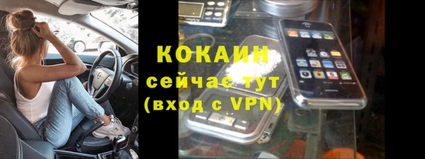 прущая мука Арсеньев