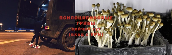 марки nbome Аркадак
